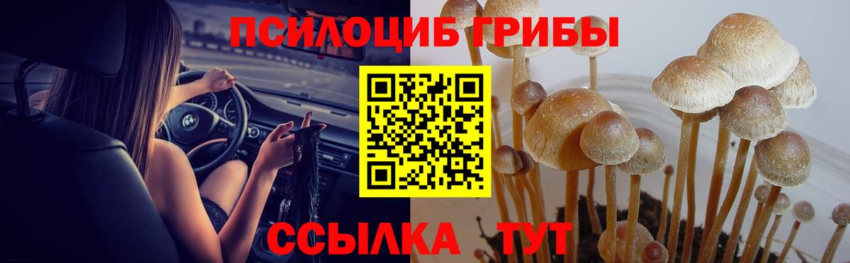 Галлюциногенные грибы мухоморы Знаменск